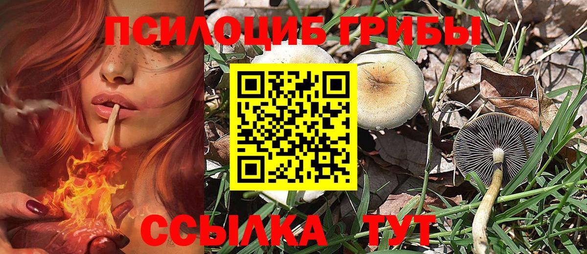 Минеральные Воды  Псилоцибиновые грибы Psilocybine cubensis  Вход с VPN  Псилоцибиновые грибы Cubensis 