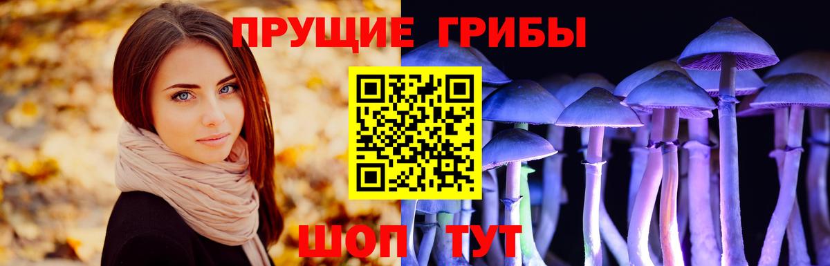 Галлюциногенные грибы Psilocybine cubensis Минеральные Воды
